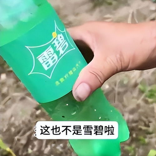 雪碧還是“雪碧”？岳陽外婆誤購“李鬼”飲料引發(fā)笑談